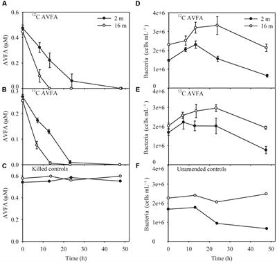 Different Bacterial Communities Involved in Peptide Decomposition between Normoxic and Hypoxic Coastal Waters